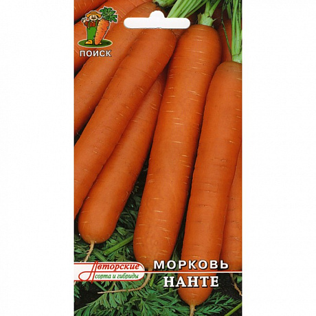 Морковь Нанте фото Морковь Нанте 